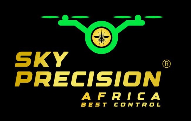Sky Africa Logo